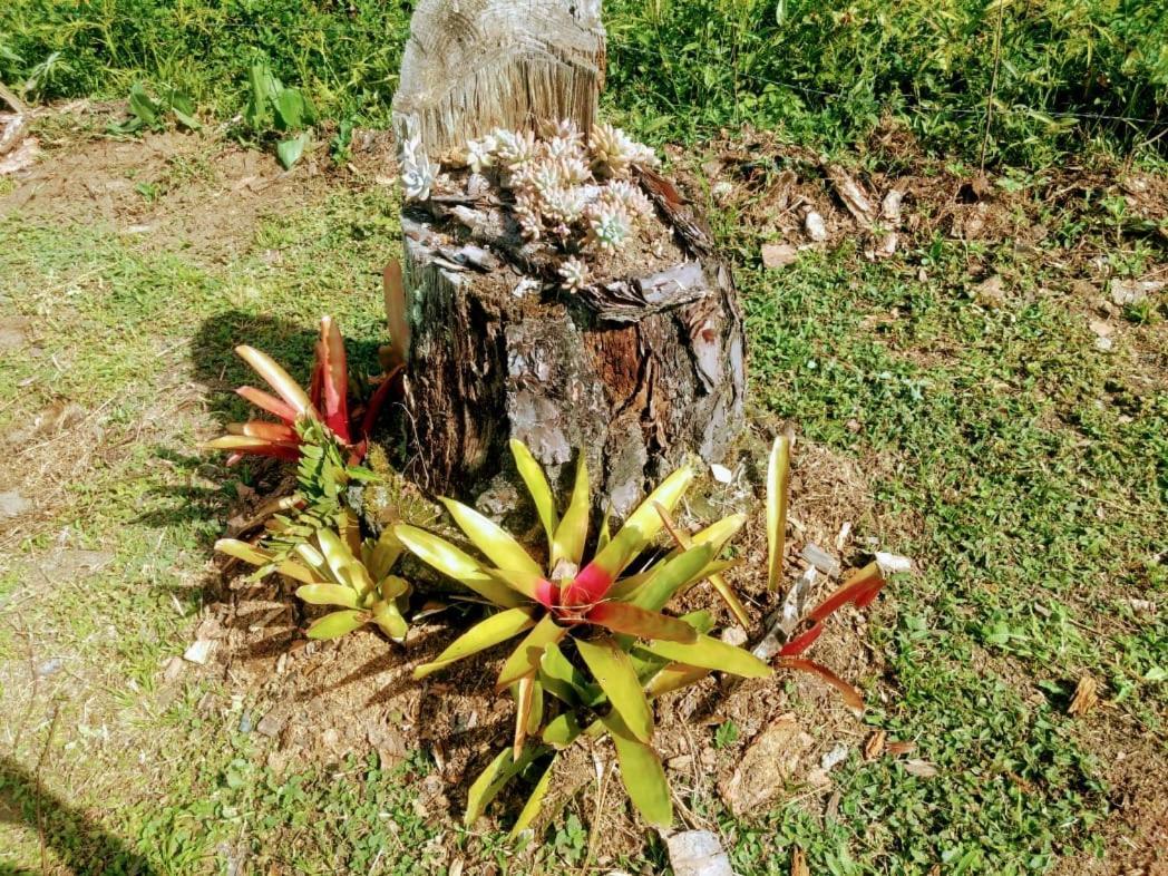 Chale Vale Das Flores - Visconde De Maua Rj Eksteriør bilde