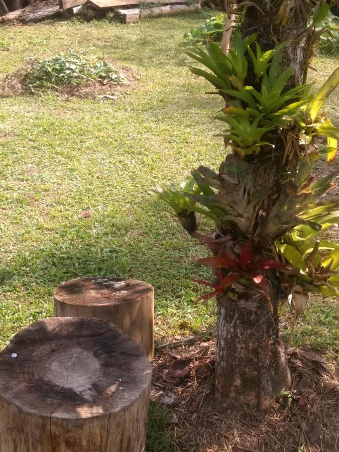 Chale Vale Das Flores - Visconde De Maua Rj Eksteriør bilde