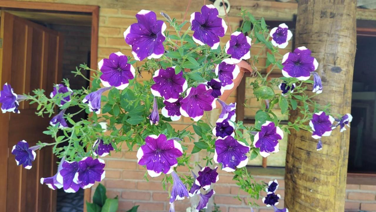 Chale Vale Das Flores - Visconde De Maua Rj Eksteriør bilde